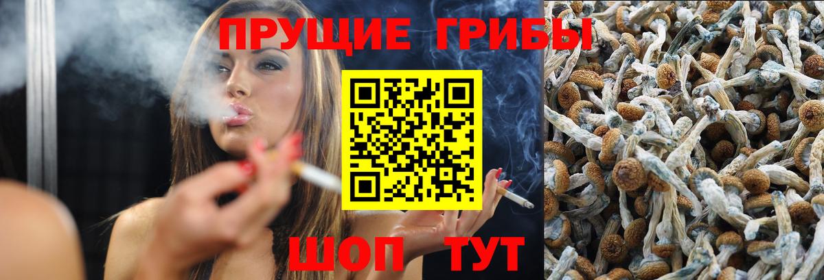 Псилоцибиновые грибы Magic Shrooms Саянск