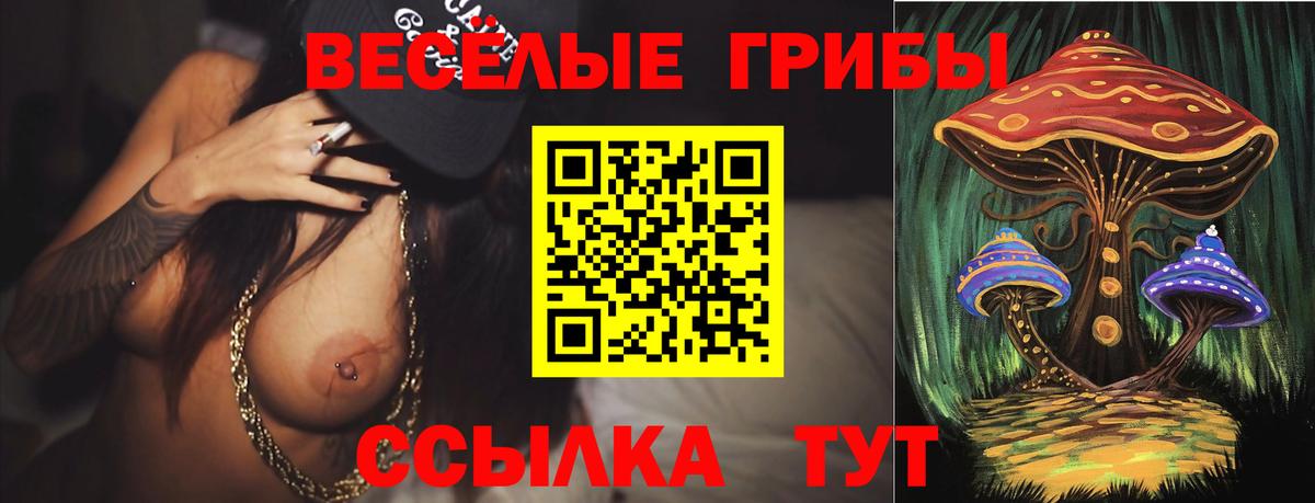 Псилоцибиновые грибы GOLDEN TEACHER  Псилоцибиновые грибы GOLDEN TEACHER  Саянск  Вход с VPN 